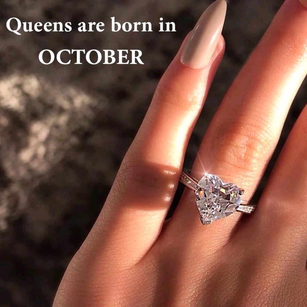 Meet your Posher, Holly